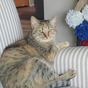 Meet your Posher, Tammy